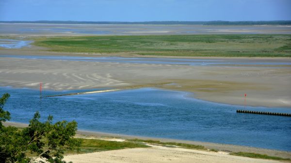 Paisaje salvaje de la bahía desde las alturas de St Valery