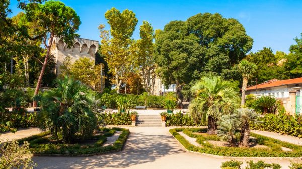 Botanischer Garten