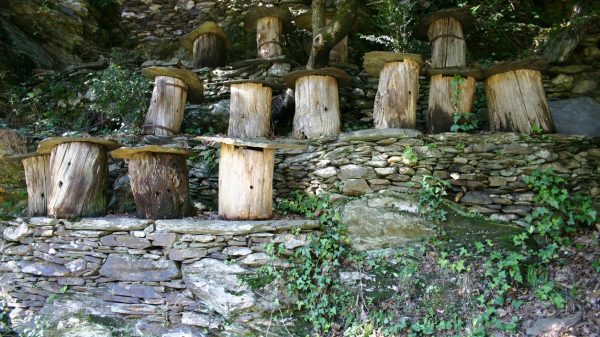 Wooden hives used for making Cévennes honey