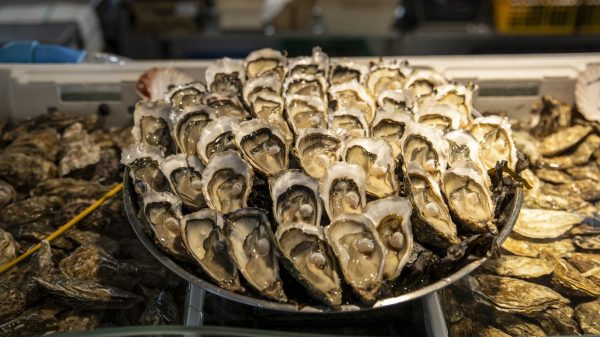 Huîtres au marché de Lège-Cap-Ferret