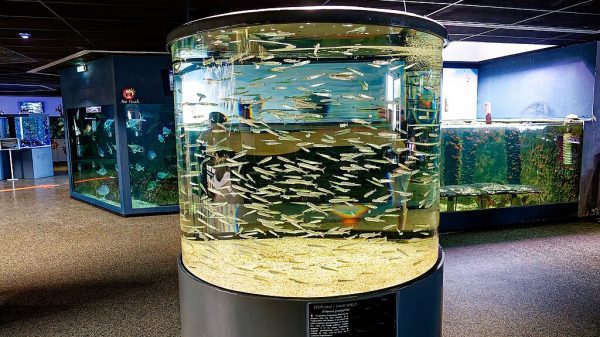 Le Croisic Oceanarium