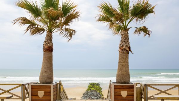 Uitzicht op een van de stranden van Lacanau-Océan 