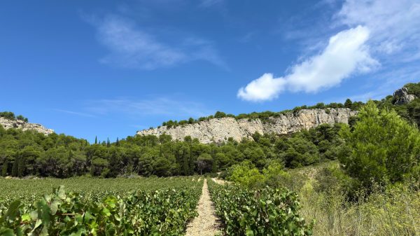 Randonner dans le massif de la Clape
