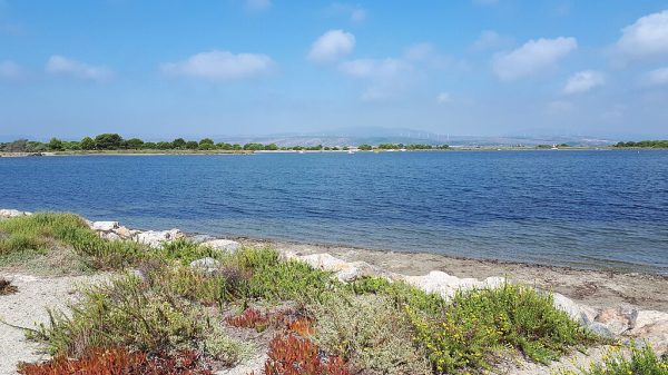 L'étang de Salses-Leucate, vu depuis Leucate