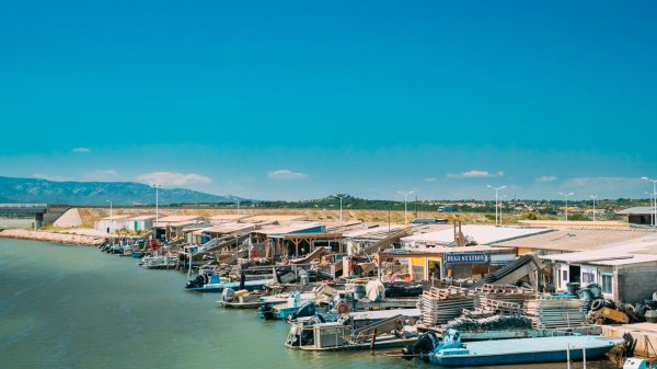 Fermes à huîtres et marché aux poissons à Leucate
