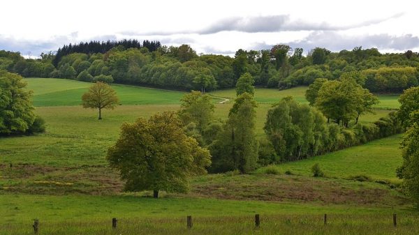 Rural landscape in Creuse, near Saint-Maurice-la-Souterraine