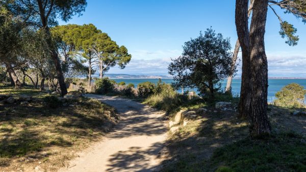 Wanderweg im regionalen Naturschutzgebiet Sainte-Lucie in Port-la-Nouvelle