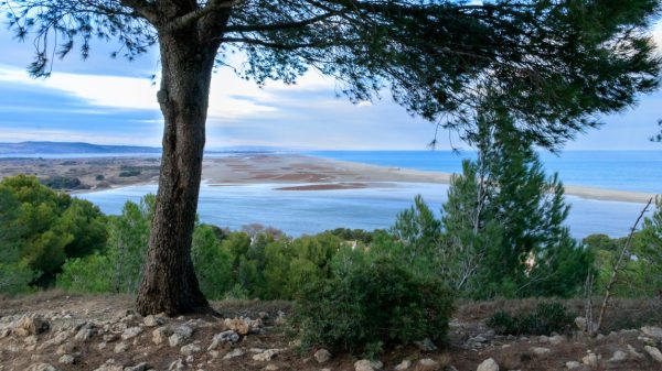 La Franqui in Leucate, zwischen Meer und See