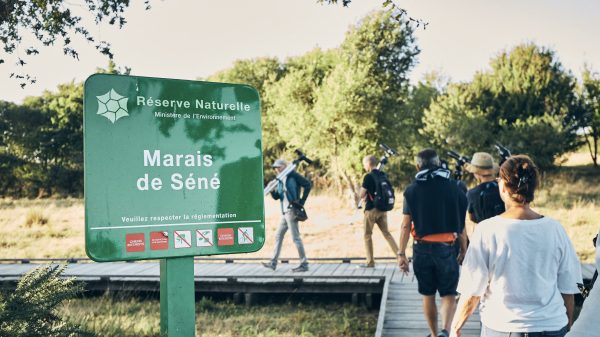 Das Sumpfgebiet von Séné: Wanderwege und Beobachtungen
