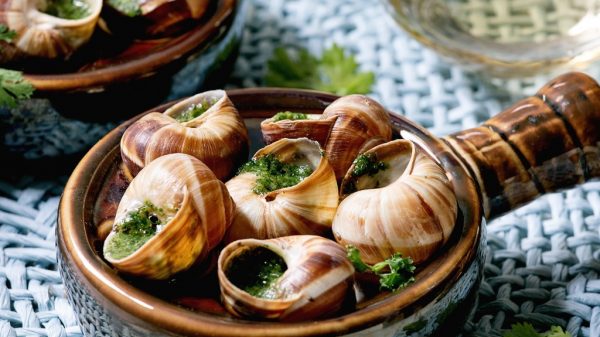 Slakken uit Bourgondië 