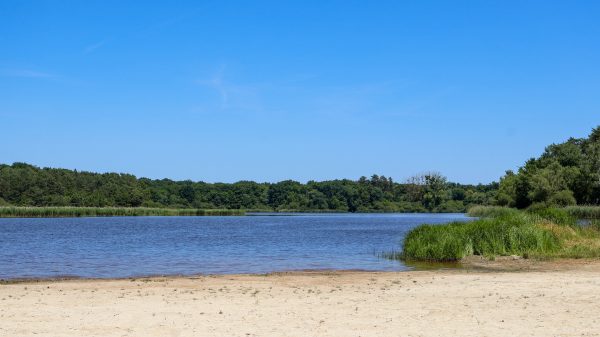 La plage de l'étang de la vallée, dans son écrin verdoyant