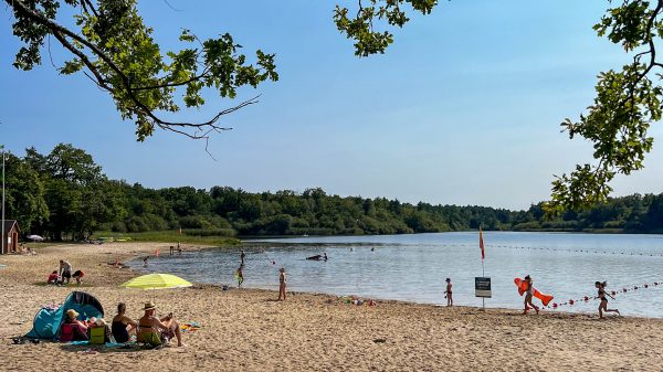 Baignade à l'étang des bois, entre zone surveillée et recoins plus sauvages