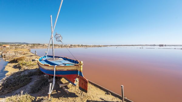 Het zoute eiland Saint Martin en zijn roze water 