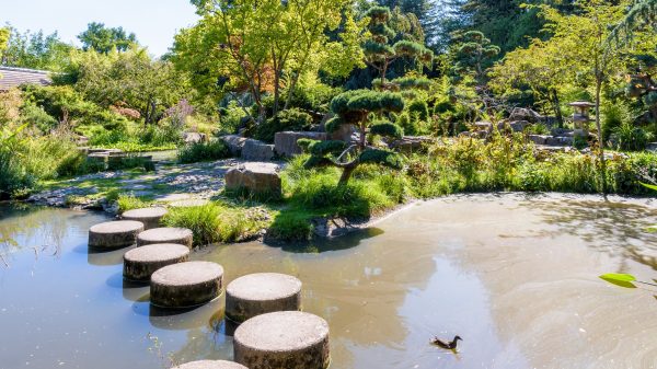 Jardín japonés en la isla de Versalles