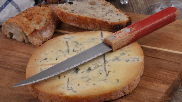 Cheese from the Loire, Fourme de Montbrisson 