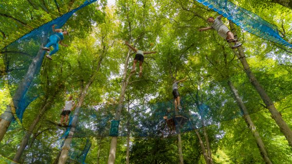 Trampo’forest, for bouncing amongst the trees