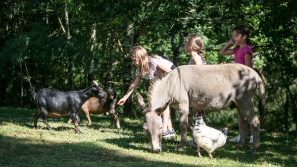 Camping L'Offrerie, (24) Rouffignac-Saint-Cernin-de-Reilhac