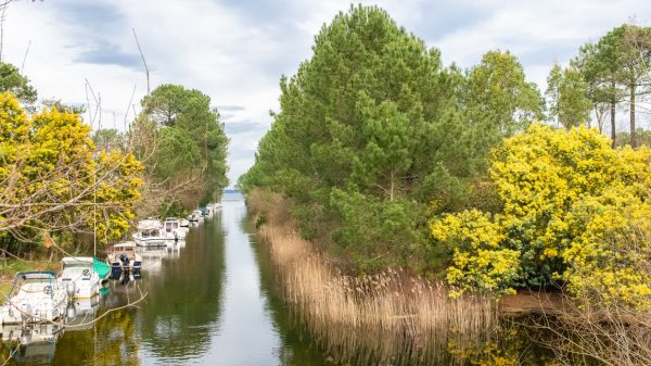 Canal linking Lake Biscarrosse-Parentis to the Cazaux pond. 