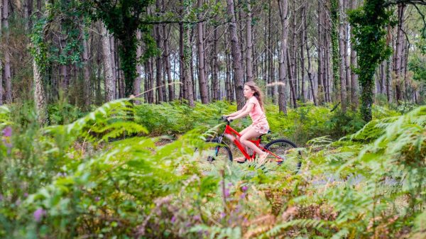 Cycling through the Landes forest, near Biscarrosse© 