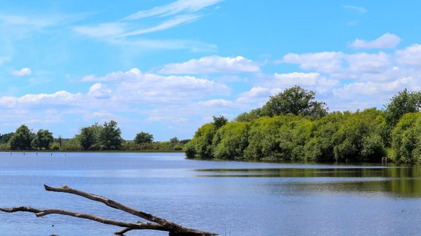 A sunny day by the pond in the Brenne Regional Nature Park