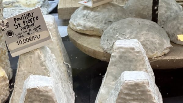 Taste the region’s goat’s milk cheeses