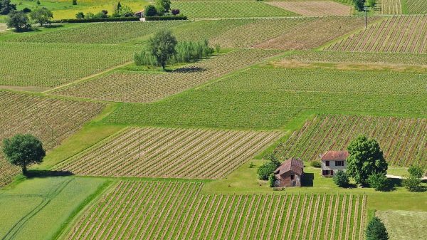 Vue aérienne sur les vignobles de Cahors