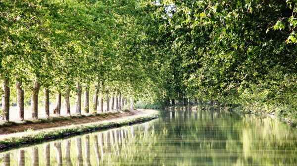 Canal du Midi
