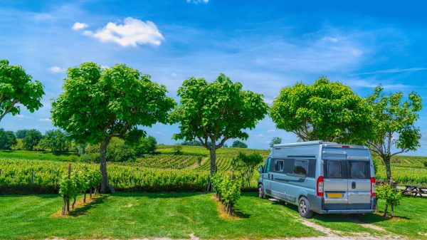 Camping-car garé près de French Vineyard