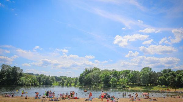 Zwemmen en luieren in een bosrijke omgeving, (bijna) in het hart van de stad