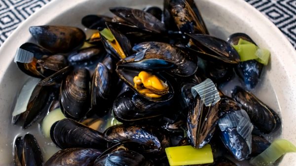 Les moules de Bouchot de Bretagne