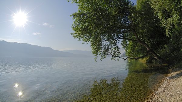 Plage sur la côte sauvage