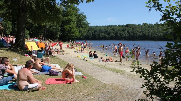 Plage de l'étang à La Motte