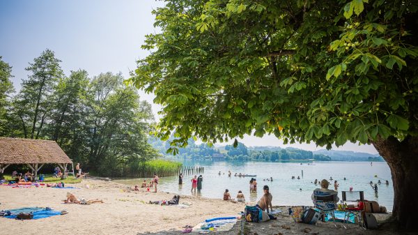 Petite plage familiale d'Aiguebelette-le-Lac