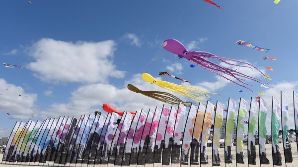 Rencontres Internationales de Cerfs-Volants