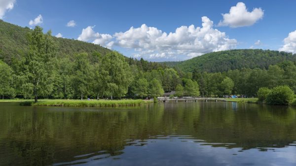 L'étang du Fleckenstein