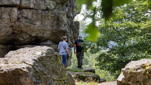 Wandeling op de site van Roc-la-Tour, in het staatsbos van Château-Regnault, met vertrek vanuit Monthermé