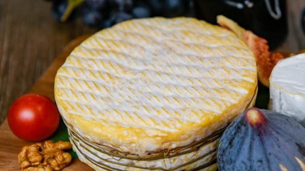 Livarot, a typical cheese of Calvados