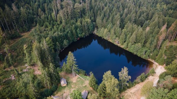 Baden in der Natur am Gademont-See