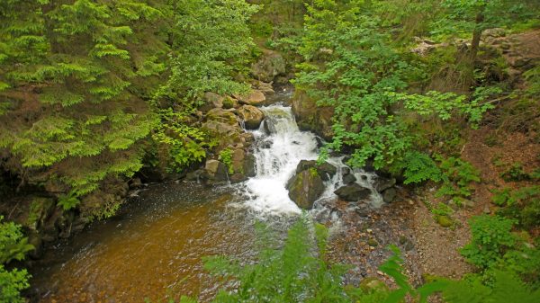 Der Wasserfall „Saut des cuves“ 