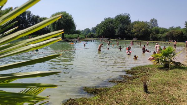 The pleasure of swimming in the pond