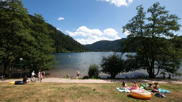 Kleiner Strand am See, nur wenige Schritte vom Campingplatz entfernt