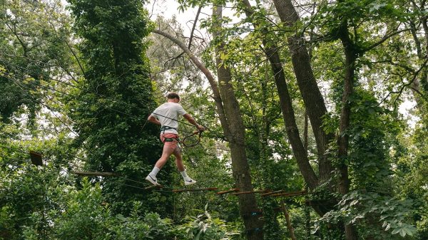 Explore the campsite from tree to tree...