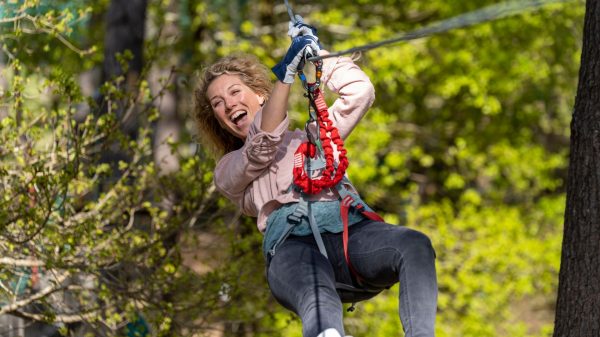 Tree-top adventure: thrills galore, in complete safety