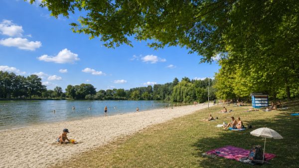 Tarde de baño en el lago