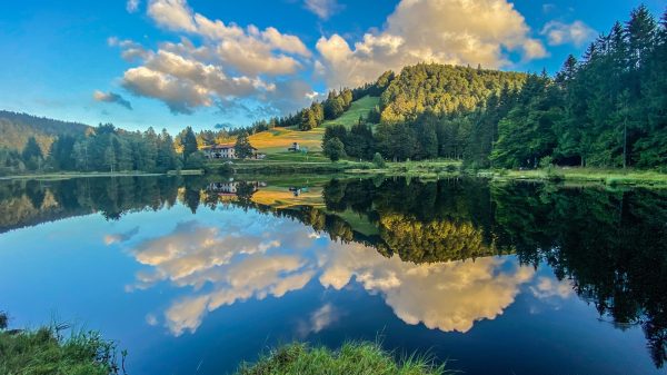 Lake Lispach in the Bresse