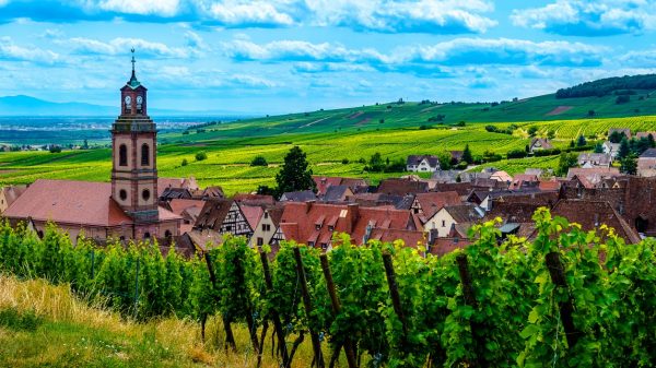 Nestled amongst vineyards and the foothills of the Vosges, Riquewihr is well worth a visit 