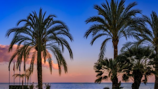 Coucher de soleil sur la Promenade des Anglais à Nice