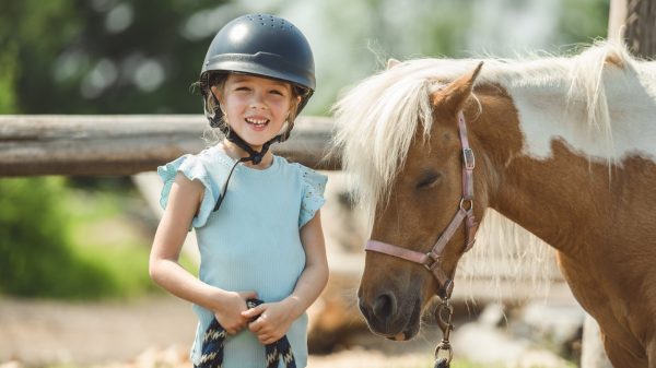 Apprendre à connaître chevaux et poneys