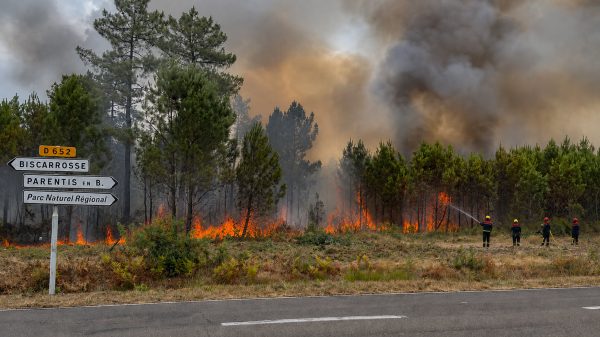 L'incendie de la forêt de Biscarrosse, en juillet 2026