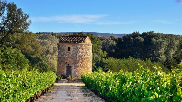 De wijnroute die uitnodigt om door de landschappen van de Provence te trekken